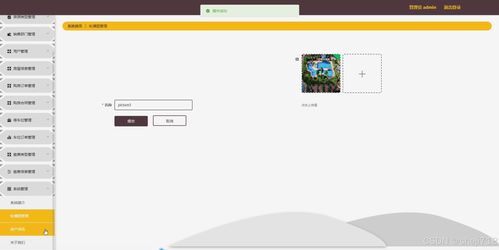 新世紀售房管理系統的設計與開發